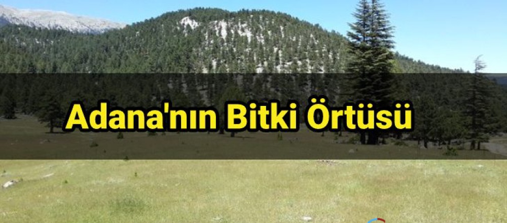 Adana'nın Bitki Örtüsü