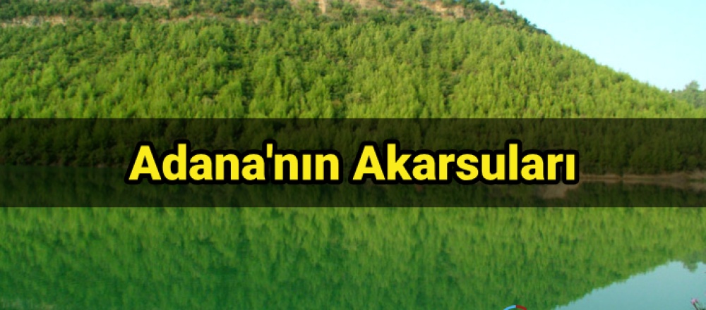 Adana'nın Akarsuları