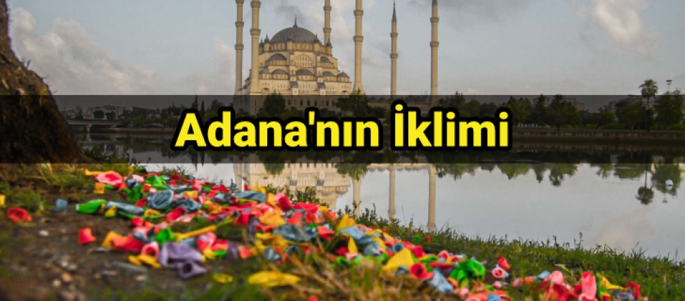 Adana'nın İklimi