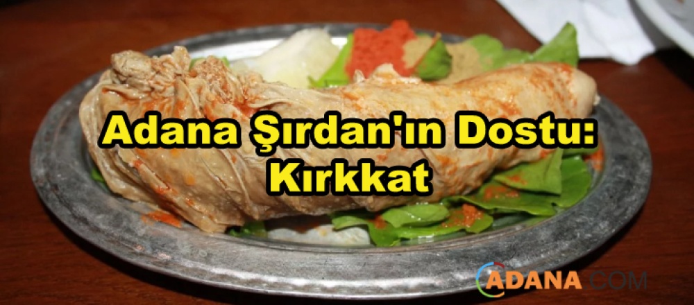 Adana Şırdan'ın Dostu: Kırkkat