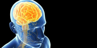 Beyin Kendini Yenileyebilir mi ?