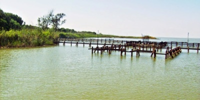 Adana 'Akyatan' Gölündeki Aktiviteler