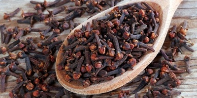 Karanfil'in Faydaları Nelerdir?