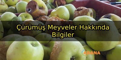Çürümüş Meyveler Hakkında Bilgiler