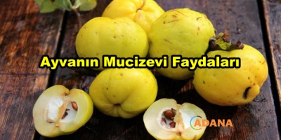 Ayvanın Mucizevi Faydaları