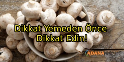 Zehirli Mantar Nasıl Anlaşılır?