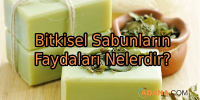 Bitkisel Sabunların Faydaları Nelerdir?
