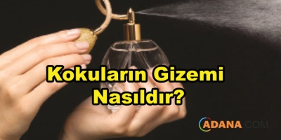 Kokuların Gizemi Nasıldır?