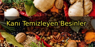 Kanı Temizleyen Besinler