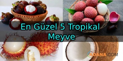 En Güzel 5 Tropikal Meyve