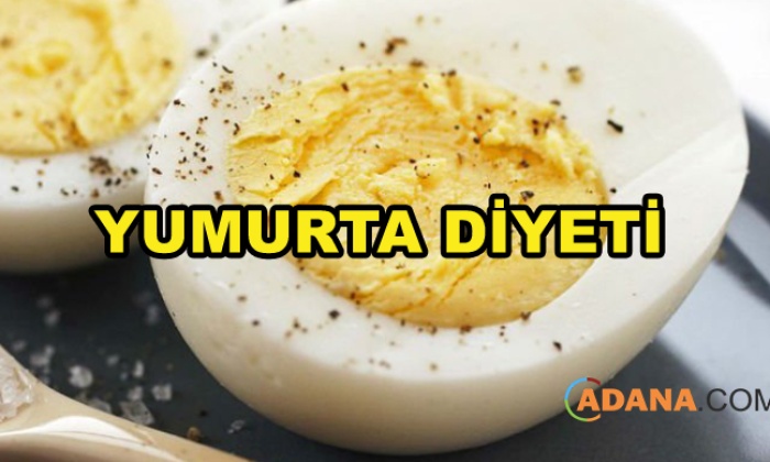 YUMURTA DİYETİ