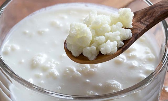DNA hasarına karşı kefir için