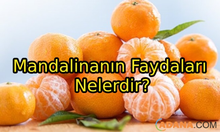 Mandalinanın Faydaları Nelerdir?