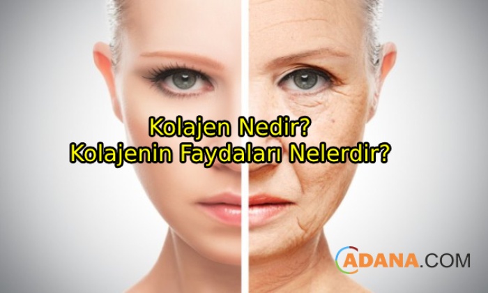 Kolajen Ve Faydaları
