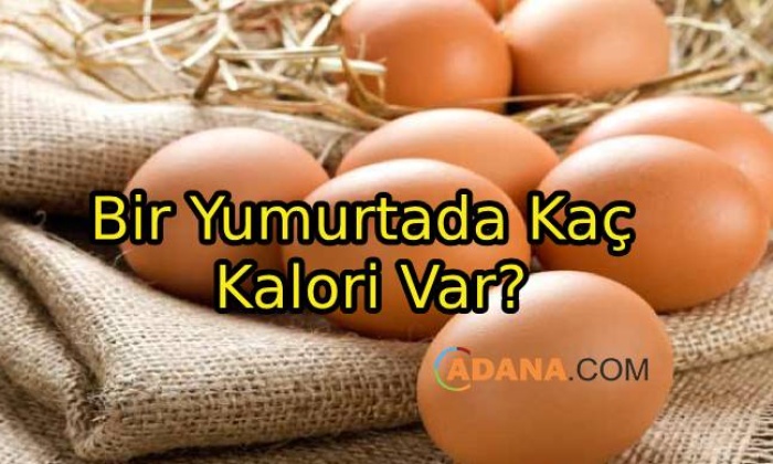 Bir Yumurtada Kaç Kalori Var?