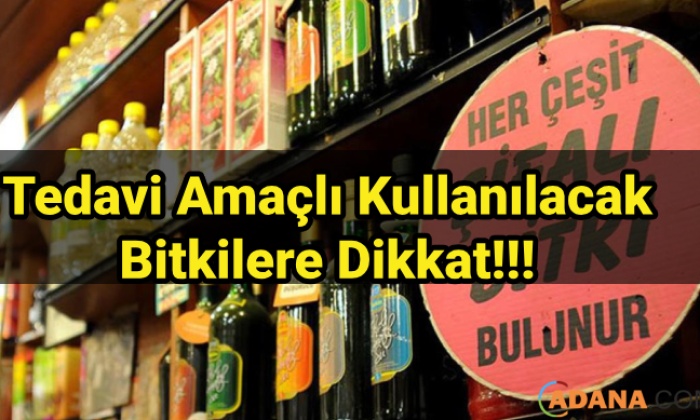 Tedavi İçin Kullanılacak Bitkilere Dikkat
