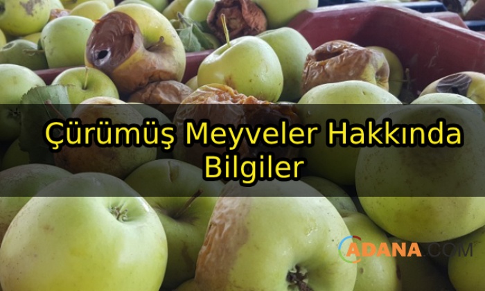 Çürümüş Meyveler Hakkında Bilgiler