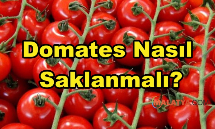 Domates Nasıl Saklanmalı
