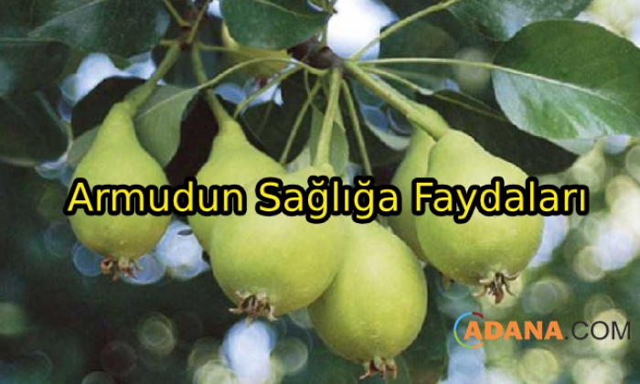 Armudun Sağlığa Faydaları