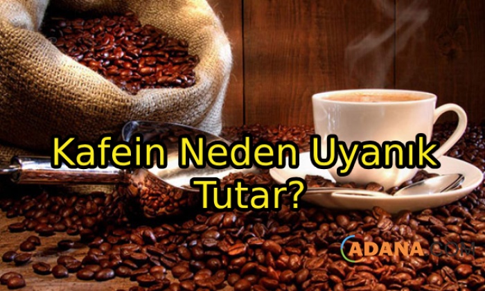 Kafein Neden Uyanık Tutar?