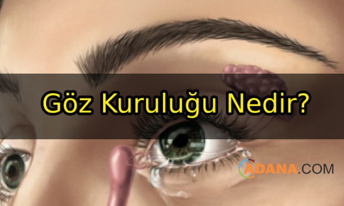 Göz Kuruluğu Neden Oluşur?