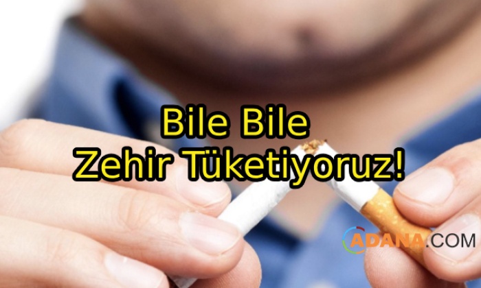 Sigara Her Yönden Zararlı