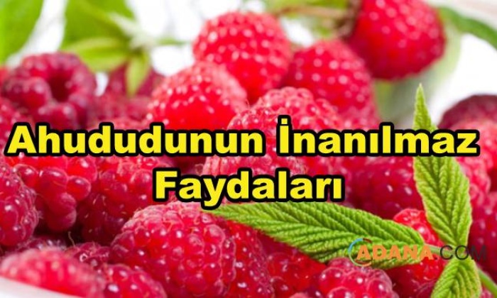 Ahududunun İnanılmaz Faydaları