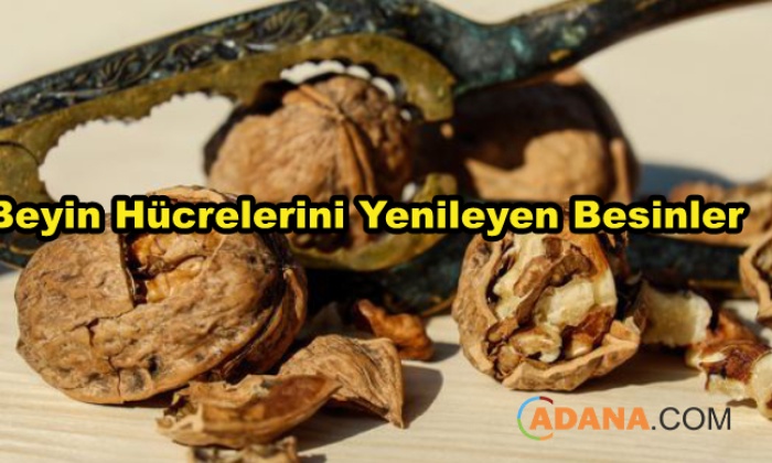Beyin Hücrelerini Yenilemek İçin Tüketmeniz Gereken Gıdalar