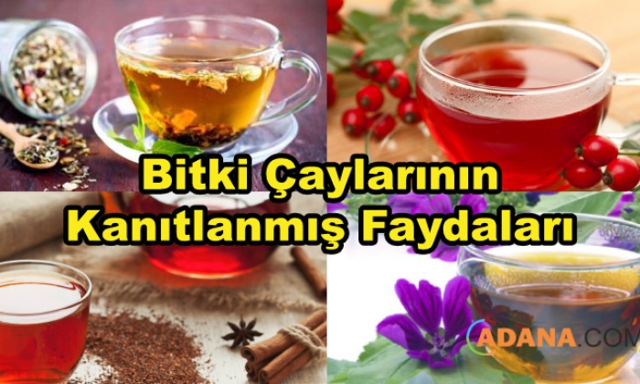 Bitki Çaylarının Kanıtlanmış Faydaları