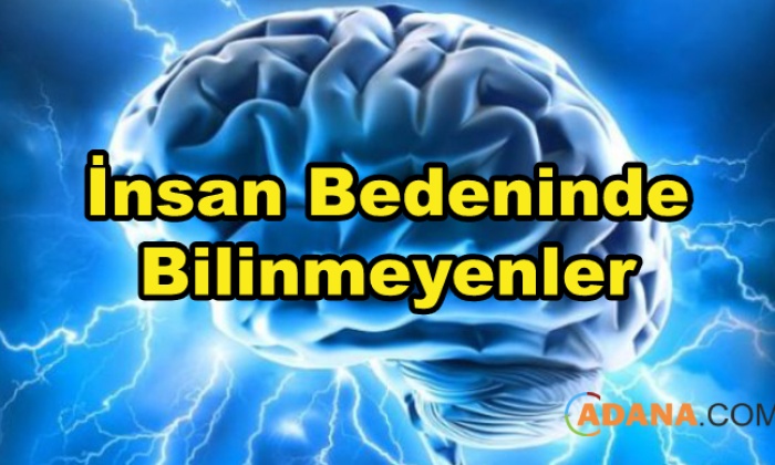İnsan Bedeninde Bilinmeyenler