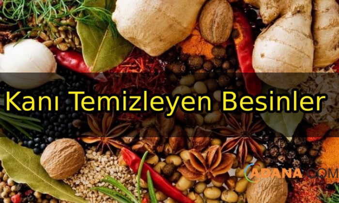 Kanı Temizleyen Besinler