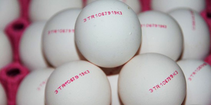 Yumurtaların Üzerinde Yazan Sayılara Dikkat!