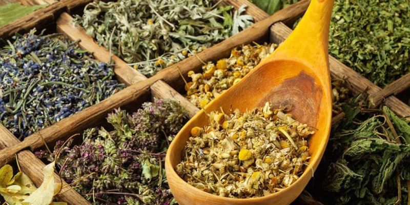 Bitki çayları ve vücuttaki faydaları!