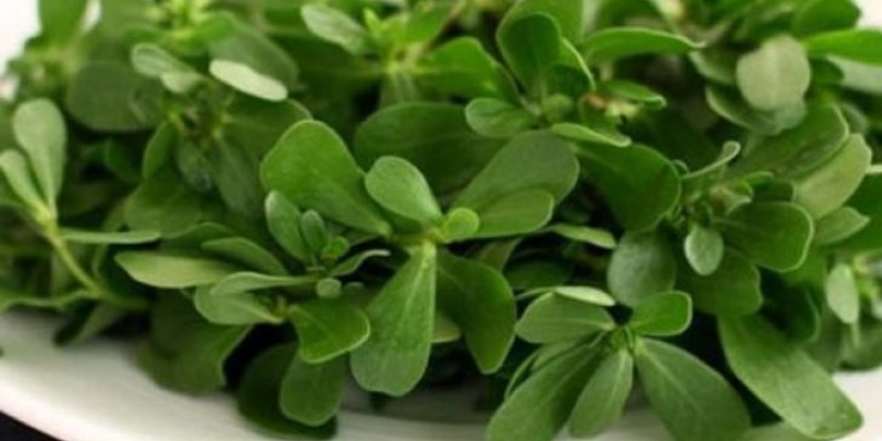 Pirpirim Otunun Faydaları Nelerdir?