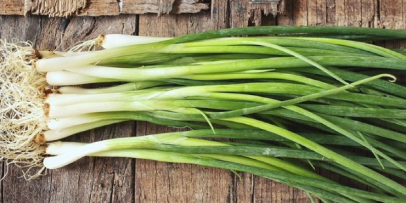 Yeşil Soğan'ın Faydası Nedir? Nelere İyi Gelir?