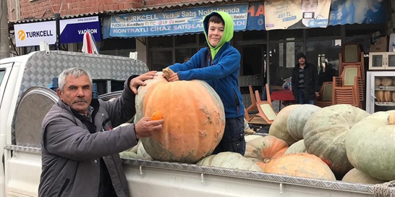 75 Kiloluk Kabak Görenleri Şaşırttı