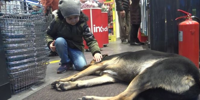 Dışarısı Soğuk Olduğu İçin Mağazaya Aldılar