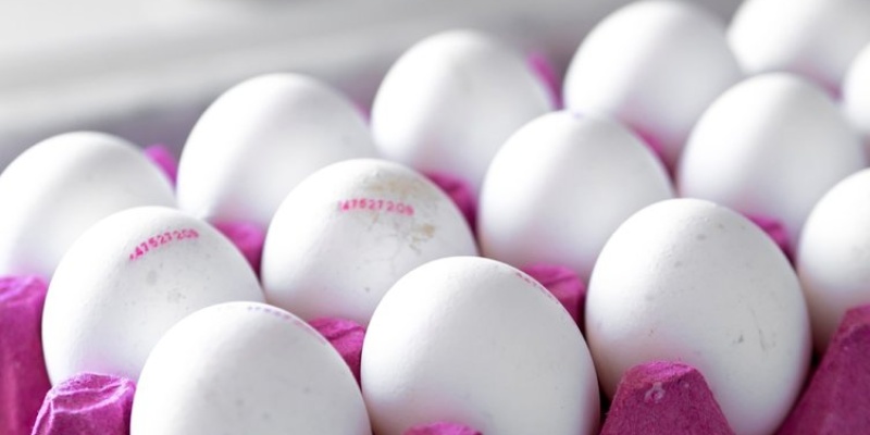 Yumurtaların Üstündeki Kodlara Dikkat