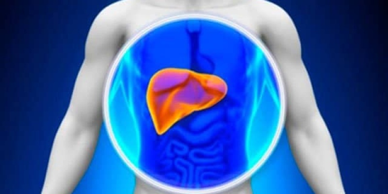 Karaciğer Yağlanması