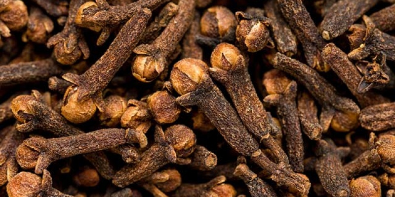 Karanfilin Diş Ağrısına Etkisi