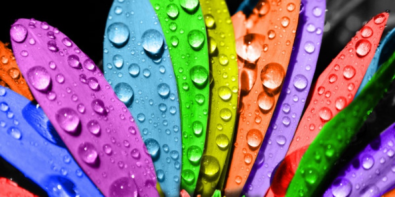 Renklerin insanlar üzerindeki etkileri