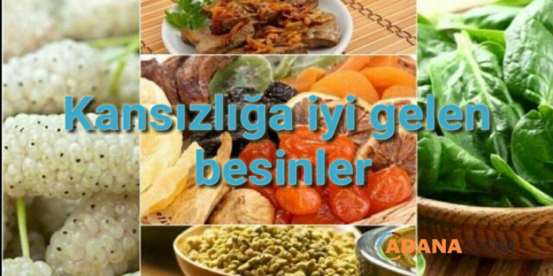 Kansızlığa İyi Gelen Besinler