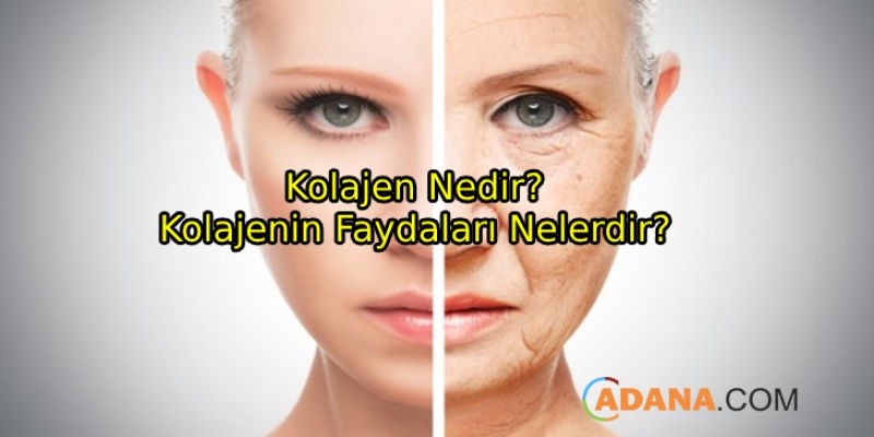 Kolajen Ve Faydaları