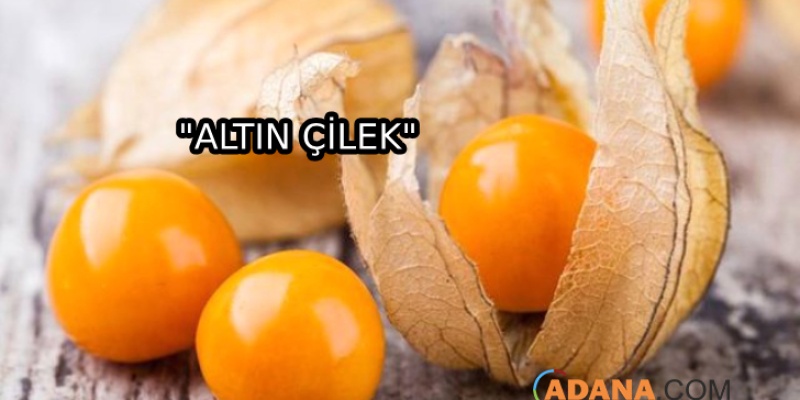 Kilo Vermek İçin Muhteşem Besin!