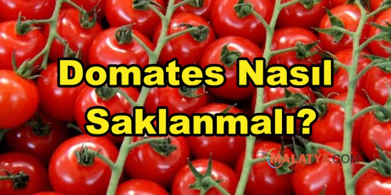Domates Nasıl Saklanmalı