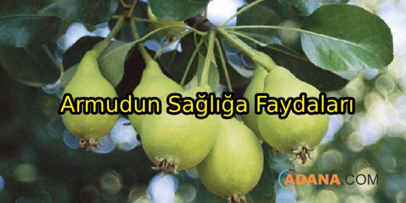 Armudun Sağlığa Faydaları