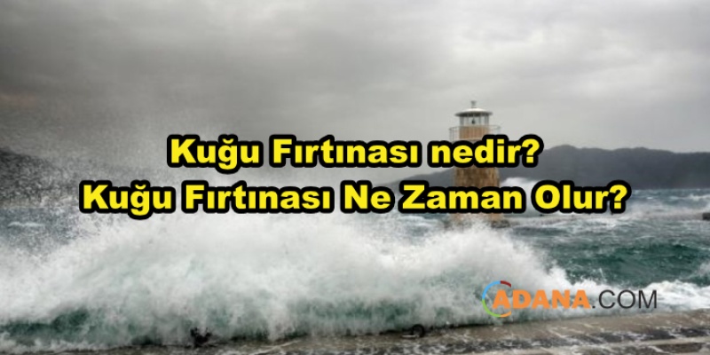Kuğu Fırtınası nedir? Kuğu Fırtınası Ne Zaman Olur?