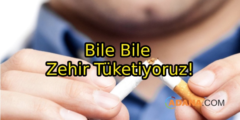 Sigara Her Yönden Zararlı