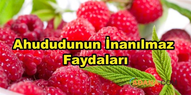 Ahududunun İnanılmaz Faydaları