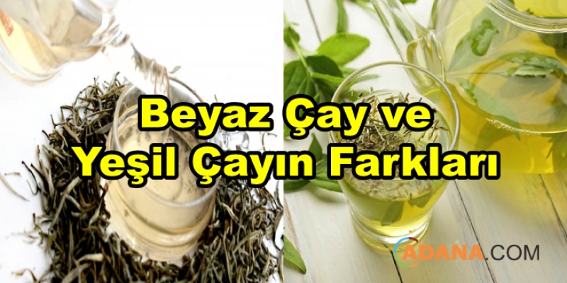 Beyaz Çay ve Yeşil Çayın Farkları